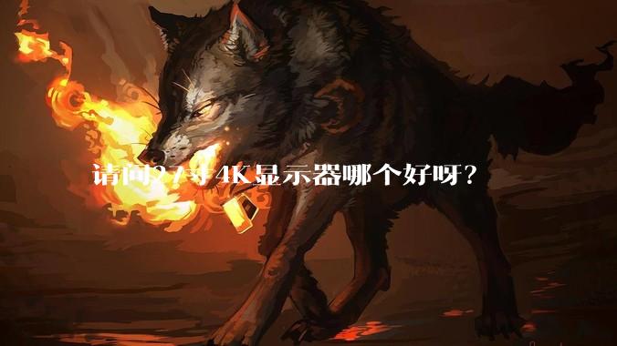 请问27寸4K显示器哪个好呀？