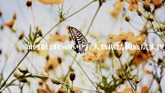 如何做到Redis中五大数据结构底层实现？
